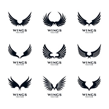 Wings Icon Logo Template Vector Set