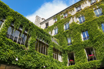 Fototapeta na wymiar Mur végétal d'un immeuble à Paris
