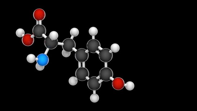 L-Tyrosine or tyrosine (symbol Tyr or Y) is an amino acid that is used by cells to synthesize proteins. Formula: C9H11NO3. 3D render. Seamless loop. RGB + Alpha (Transparent) channel.