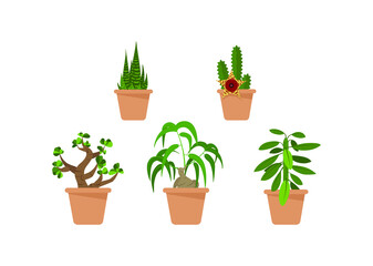 Vector set of house plants isolated on white background