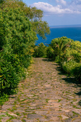 Sendero en el Paisaje Protegido de Rambla de Castro, en Tenerife