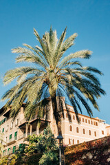 Streets Of Palma De Mallorca In Spain