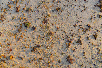 Red Gravel on white sand background