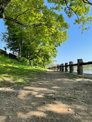 自然豊かな公園