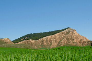 Naklejka premium Mountain hill behind green field near Valdenoches, Guadalajara, Spain. Popular destination for weekend trips. Beautiful vivid spring landscape