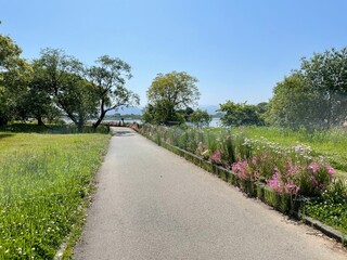 自然豊かな公園