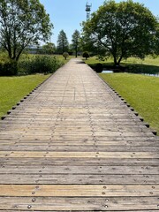 自然豊かな公園