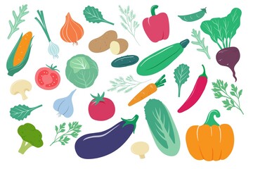 Vegetables. Cartoon onion, corn and carrot, cucumber and potato, cabbage. Pepper, tomato and beetroot, garlic fresh farm vegetable vector set. Healthy and organic isolated raw food