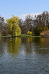 South Park Wrocław Poland, nature, spring, tree park pond