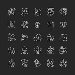 Allergy cause chalk white icons set on black background. Queen Anne lace. Timothy grass. Poplar tree pollen. English plantain. Sesame seeds. Isolated vector chalkboard illustrations