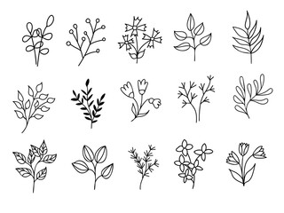 Line art set. Flowers and plants drawn by hand. Isolated on a white background. Vector illustration