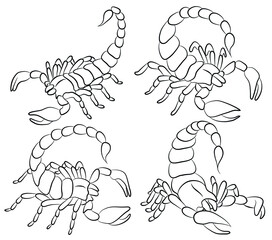 Graphic scorpion set isolated on white background in different poses, vector illustration for tattoo and print