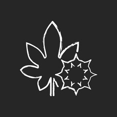 Castor bean chalk white icon on black background. Exotic flowering plant. Ricinus communis. Cause of allergic reaction, herbal allergen. Allergy for plant. Isolated vector chalkboard illustration