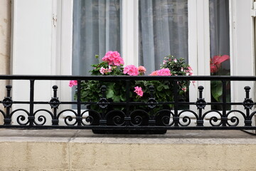 Fototapeta na wymiar flowers on a balcony