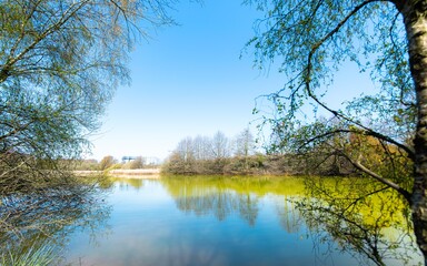Fototapeta na wymiar blue lake in the forest with blue sky