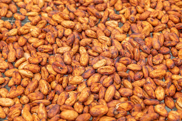 Brown fermented coffee beans seed on the ground