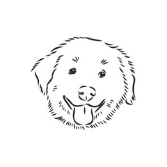 Close-up portrait of sitting dog. Vector engraved art. Friendly smiling puppy isolated on white background. Pet shelter, flyer, poster, clothing prints. puppy vector sketch on white background
