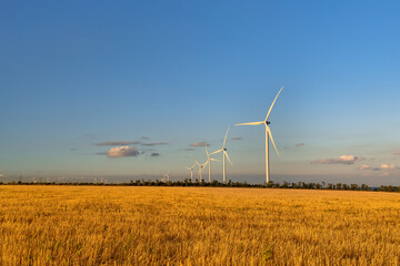 Windmills against the sunset sky on a yellow field. Alternative energy sources