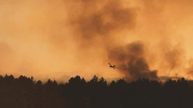 Water bombing aircraft fighting a wildfire 