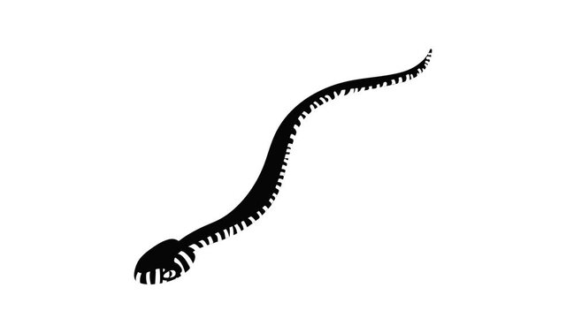 Mamba snake icon animation isometric black object on white background