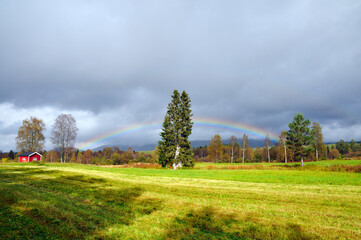 Regenbogen in Norwegen im Herbst