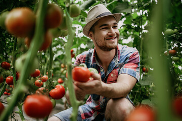 Happy and smiling young adult man working in greenhouse.