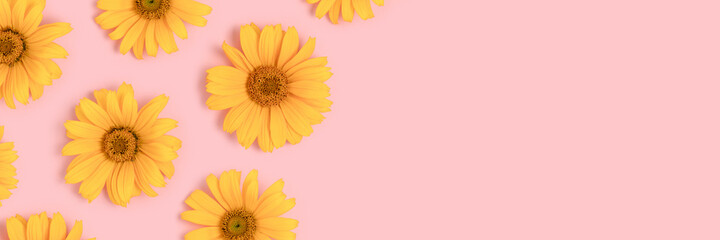 Banner with frame made of orange arnica flowers on a pink background. Creative concept with...