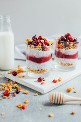 close-up of chia pudding with yogurt granola currant on the background of a bottle of milk on a gray background