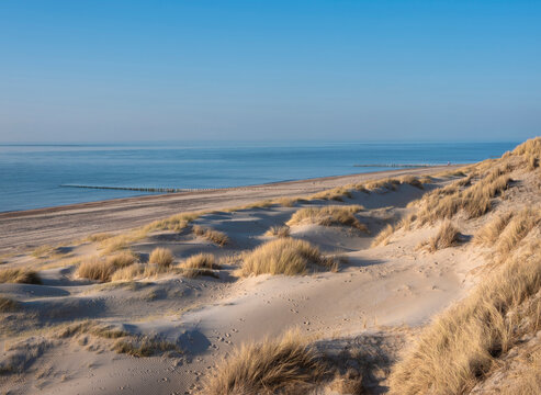 dunes and almost deserted beach on dutch coast near renesse in zeeland under blue sky