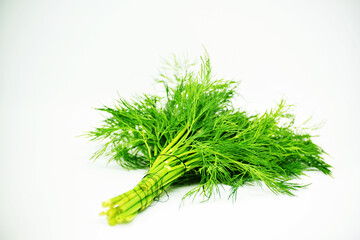 Dill on white background, greenery photo