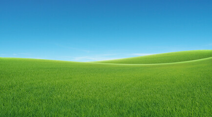 Obraz na płótnie Canvas field on a background of the blue sky