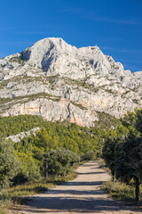 Forest trail and view of the Montagne Sainte-Victoire in Provence, a limestone mountain ridge in...