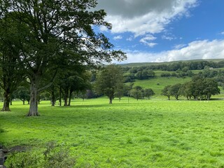 Tranquil rural landscape, with old trees and distant hills in, Bishopdale, Leyburn, UK