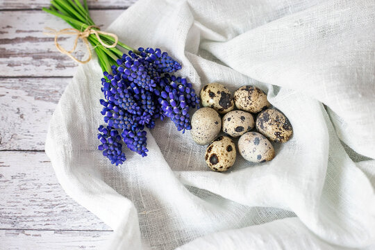 Spring decorative composition. Miniature grape hyacinth flowers and quail eggs. Easter decoration - Powered by Adobe