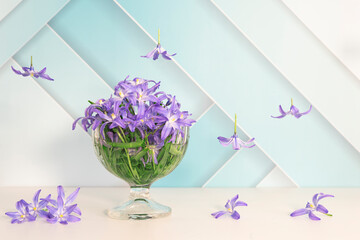 levitation effect, vase with blue snowdrops on a light background and falling flowers