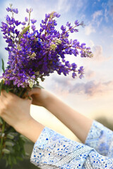 A bouquet of lilac flowers of lupins in female hands, close-up on the background of a beautiful summer sky. Flowers concept