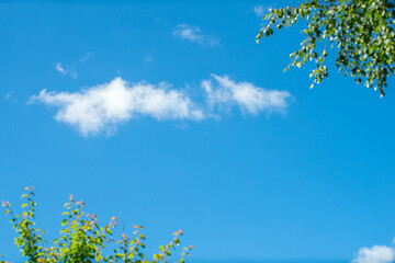 A white cloud floats across the blue sky, with green trees at the edges in an artistic blur.