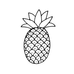 A pineapple. The fruit. Healthy vegetarian food. Vector. Doodle. Hand-drawn illustration. Silhouette. Black and white outline. Coloring.