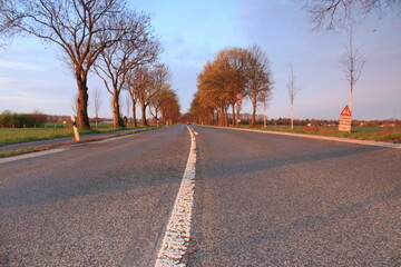 Fototapeta premium Unendlich wirkende Landstraße mit Bäumen am Straßenrand