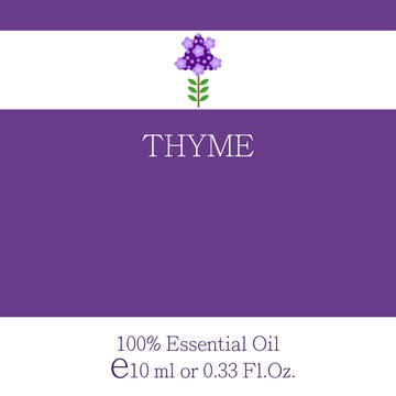 Thyme essential oil. Essential oil label design. Cosmetics packaging template. Vector image on the theme of aromatherapy.