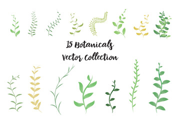15 Botanicals elements vector design on white background