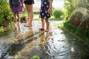 children play in puddle in summer after rain. kids fun in countryside