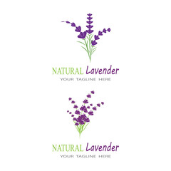 Lavender Logo Template vector symbol nature
