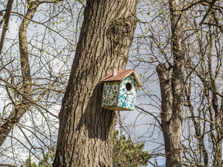 Bird house on a tree in a park in Serbia.