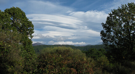 OTO&Ntilde;O EN EL BOSQUE