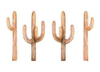 Watercolor bown set of cactus. Hand drawn isolated illustration on white background