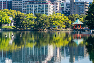 Obraz premium 大濠公園浮見堂遠望