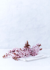 Spring flowers on bright wooden background.