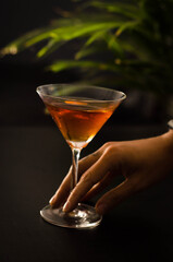 bartender serving cocktail at the barbartender serving cocktail at the bar