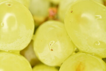 Ripe bunch of sweet grapes, close-up.